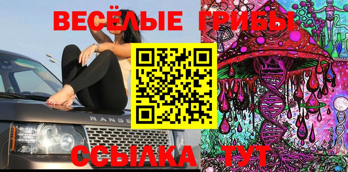 Альметьевск  Галлюциногенные грибы Psilocybine cubensis  купить   Вход с VPN 