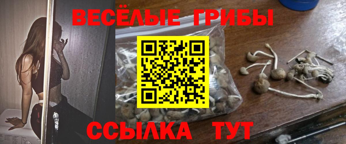 Псилоцибиновые грибы GOLDEN TEACHER Альметьевск